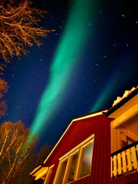 Bed And Breakfast Nordic Horn Brostadbotn Zewnętrze zdjęcie